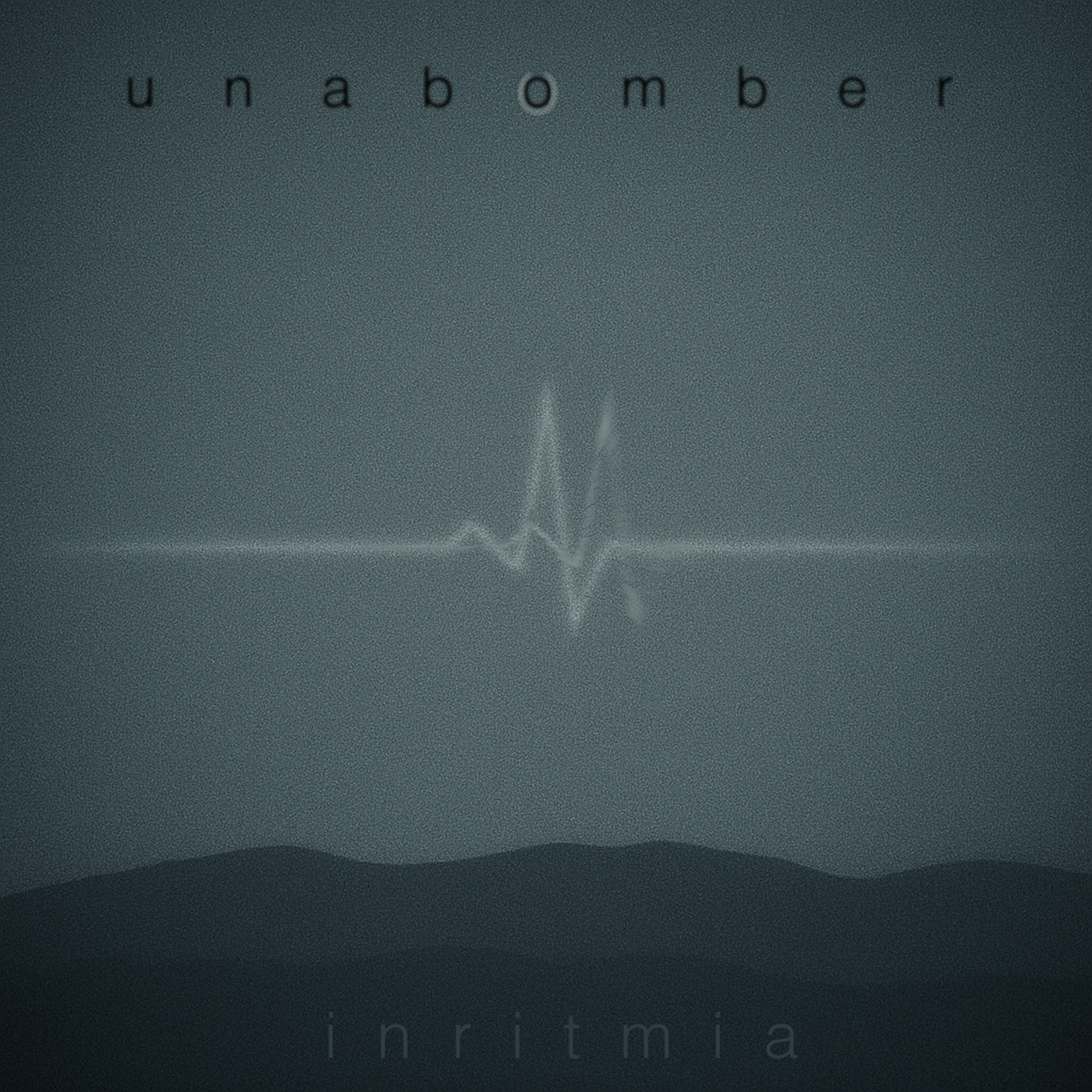 Unabomber - Inritmia